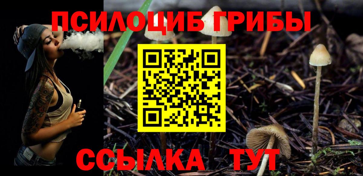 Галлюциногенные грибы Psilocybe Дзержинск