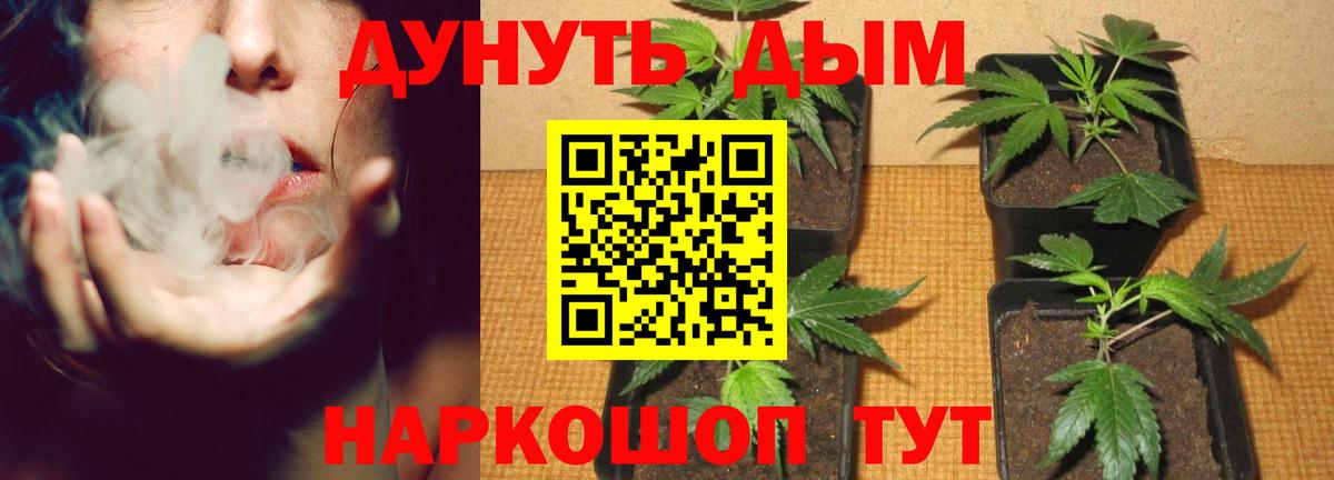 Шишки марихуана OG Kush Дзержинск